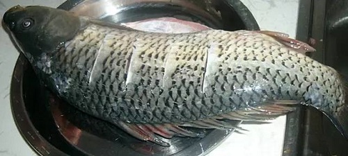 二十年前的过年才叫过年 二十年前的过年才叫过年