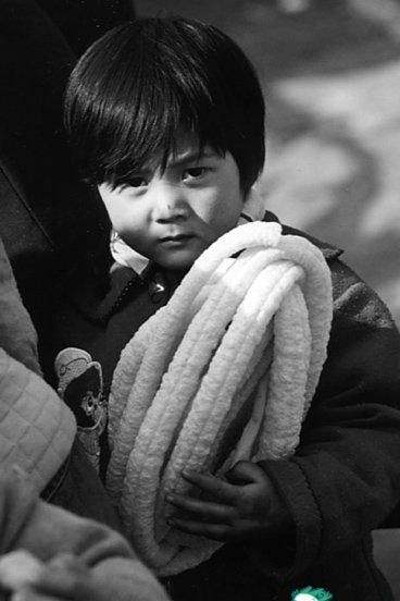 糖棒 江米棍 康乐果 糖棒 江米棍 康乐果