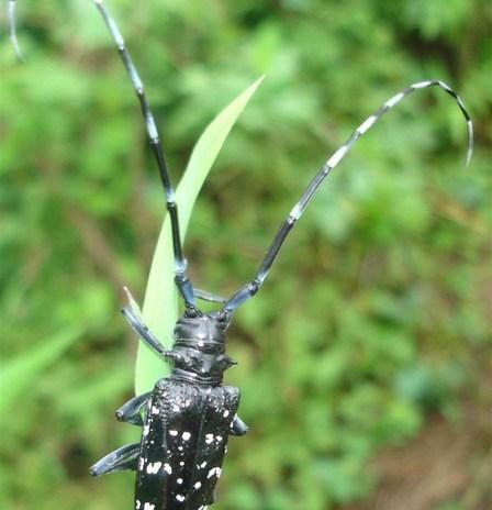 献给所有的80后 献给所有的80后