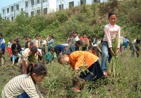 献给所有的80后 献给所有的80后