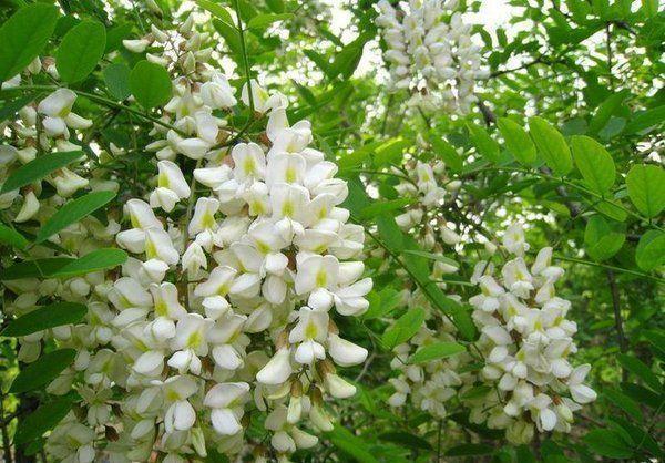 献给所有的80后 献给所有的80后