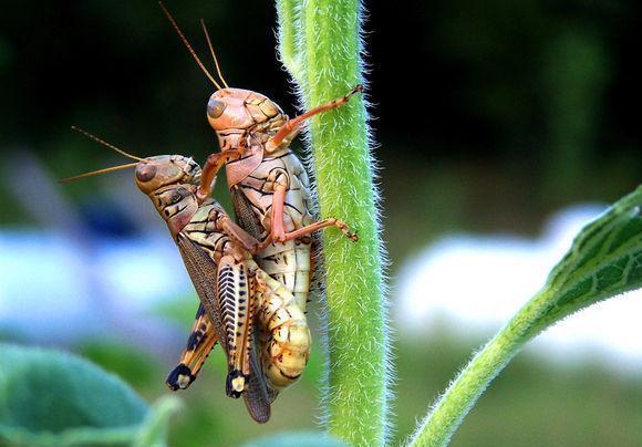 献给所有的80后 献给所有的80后